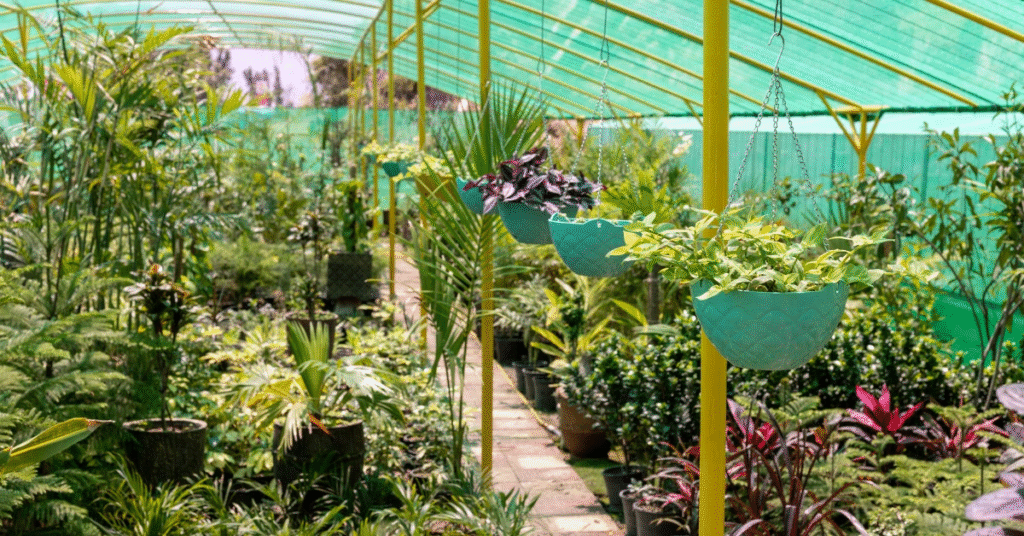 Plant Nursery Startup Ideas: How to Start a Business in 2026